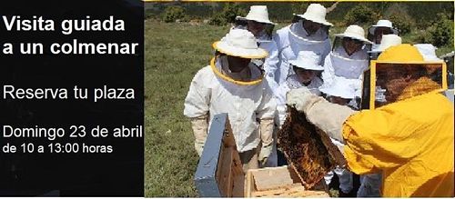 Visita guiada a un colmenar de abejas