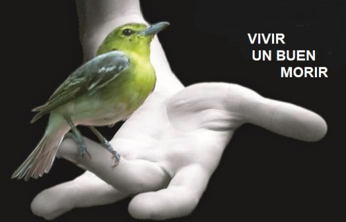 Conferencia gratuita: VIVIR UN BUEN MORIR
